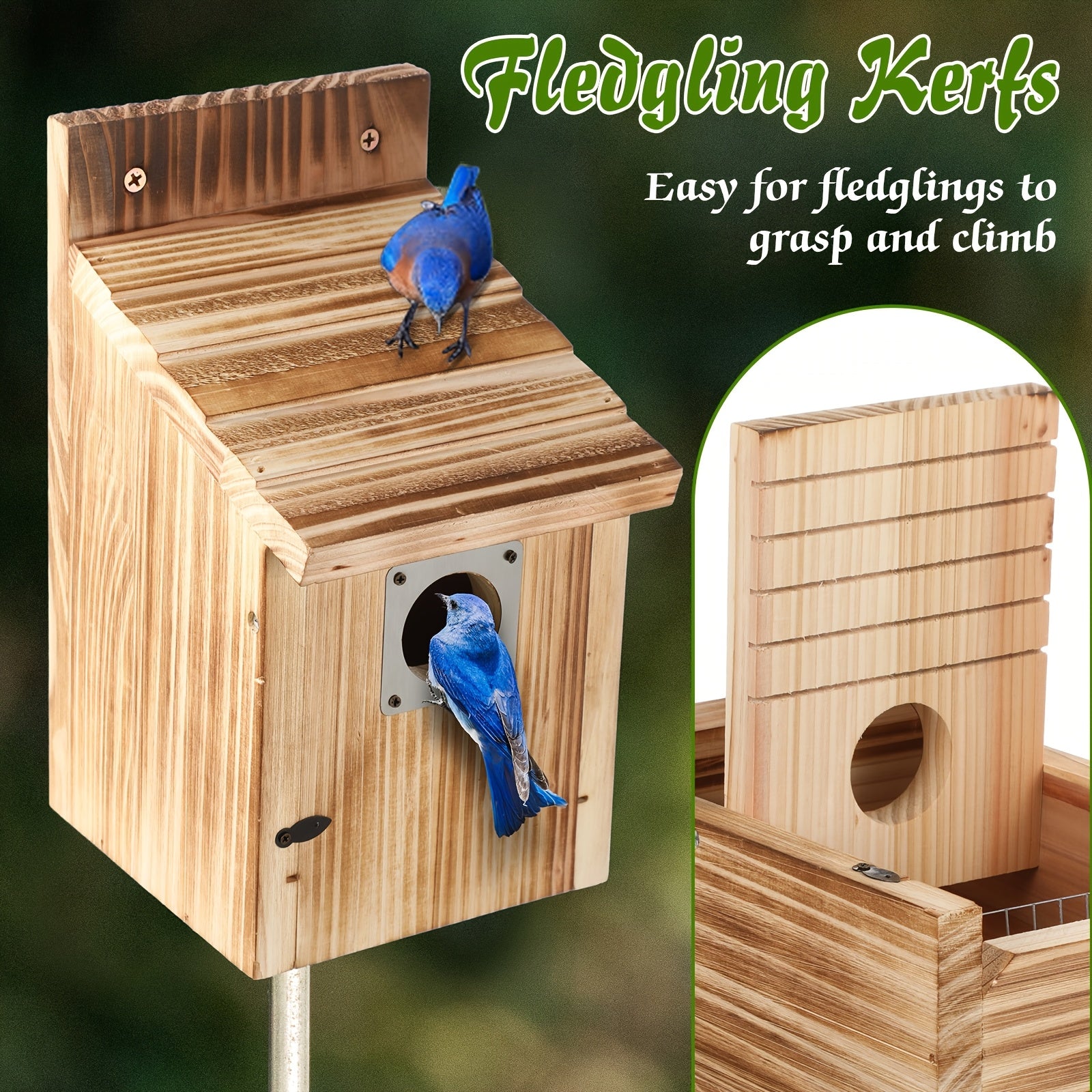 Cedar Bluebird House with Predator Guard – Outdoor Nesting Box for Birds