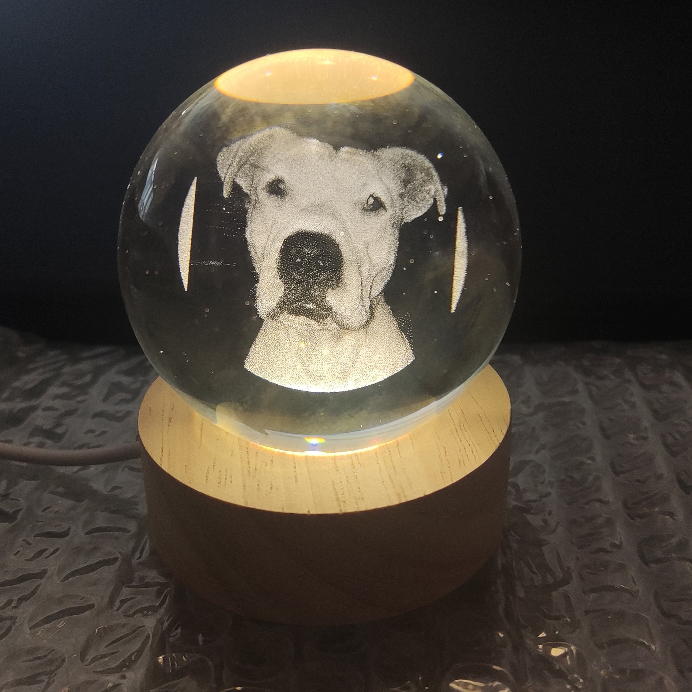 Custom Laser-Engraved Pet Crystal with Photo & Light Base