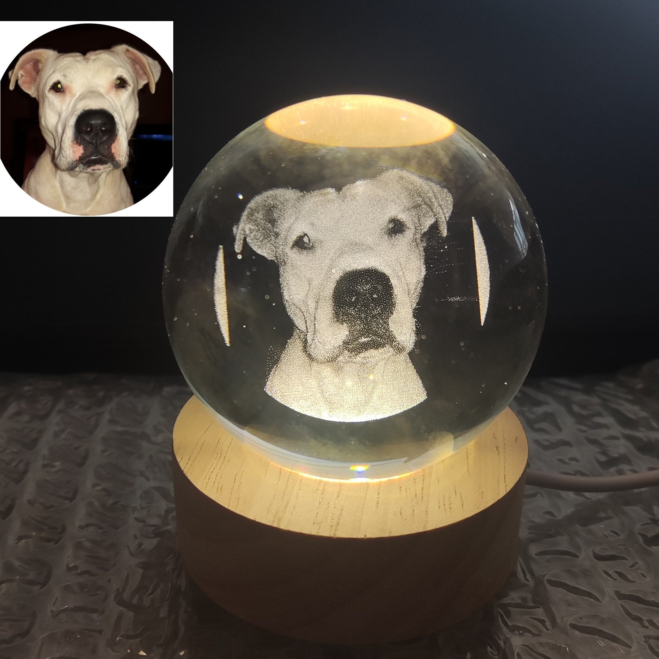 Custom Laser-Engraved Pet Crystal with Photo & Light Base