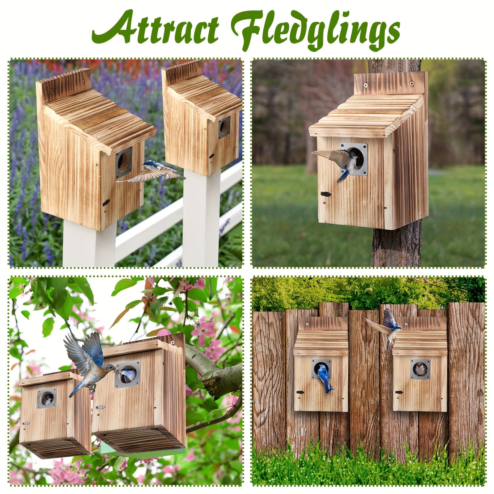 Cedar Bluebird House – 1.5" Entrance with Metal Predator Guard