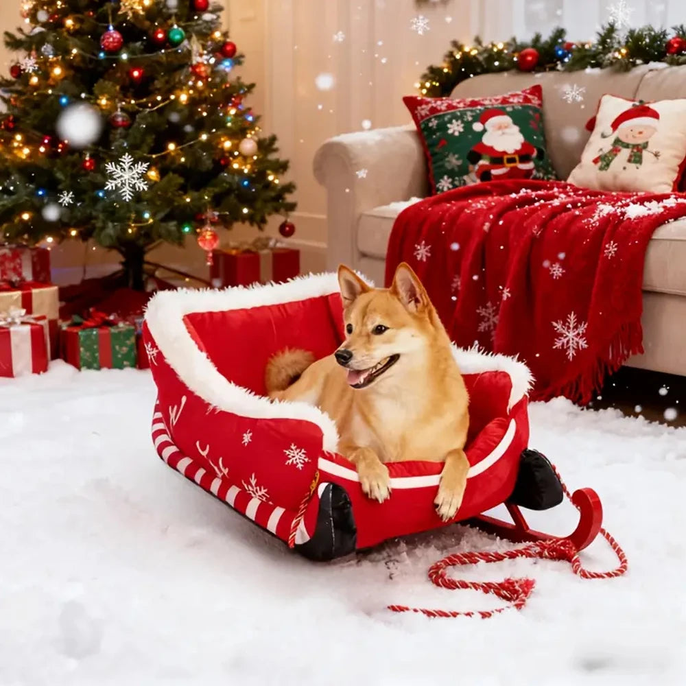 Dog in a red sleigh with Christmas decorations in the background