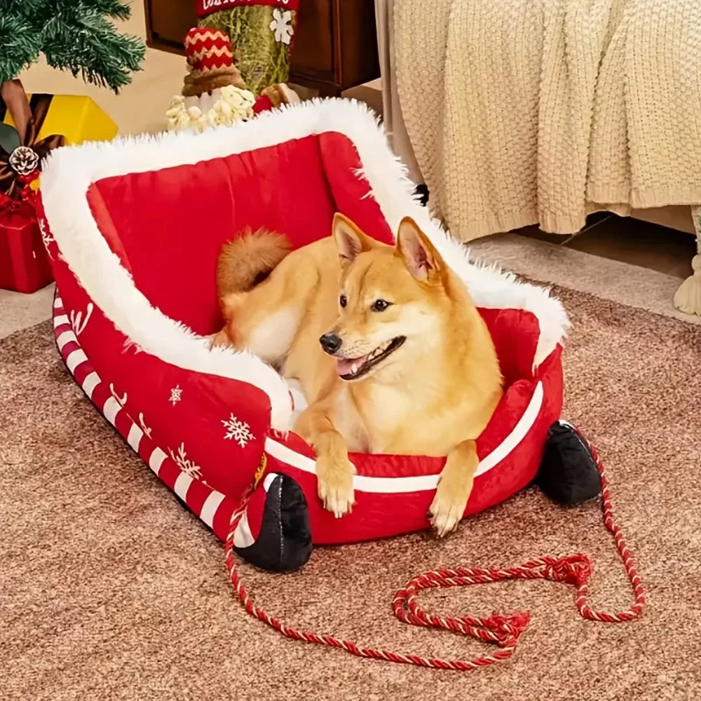 Dog sitting in a red pet bed with Christmas decorations in a home setting