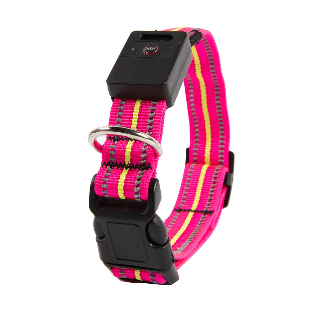 Waterproof LED Dog Collar – USB Rechargeable, Reflective & Glowing