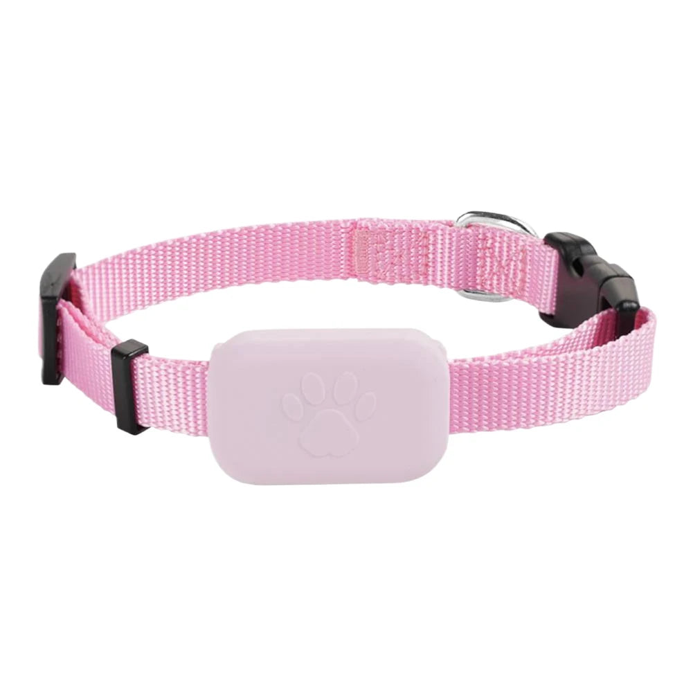 Pink dog collar with a purple plastic tag on a white background