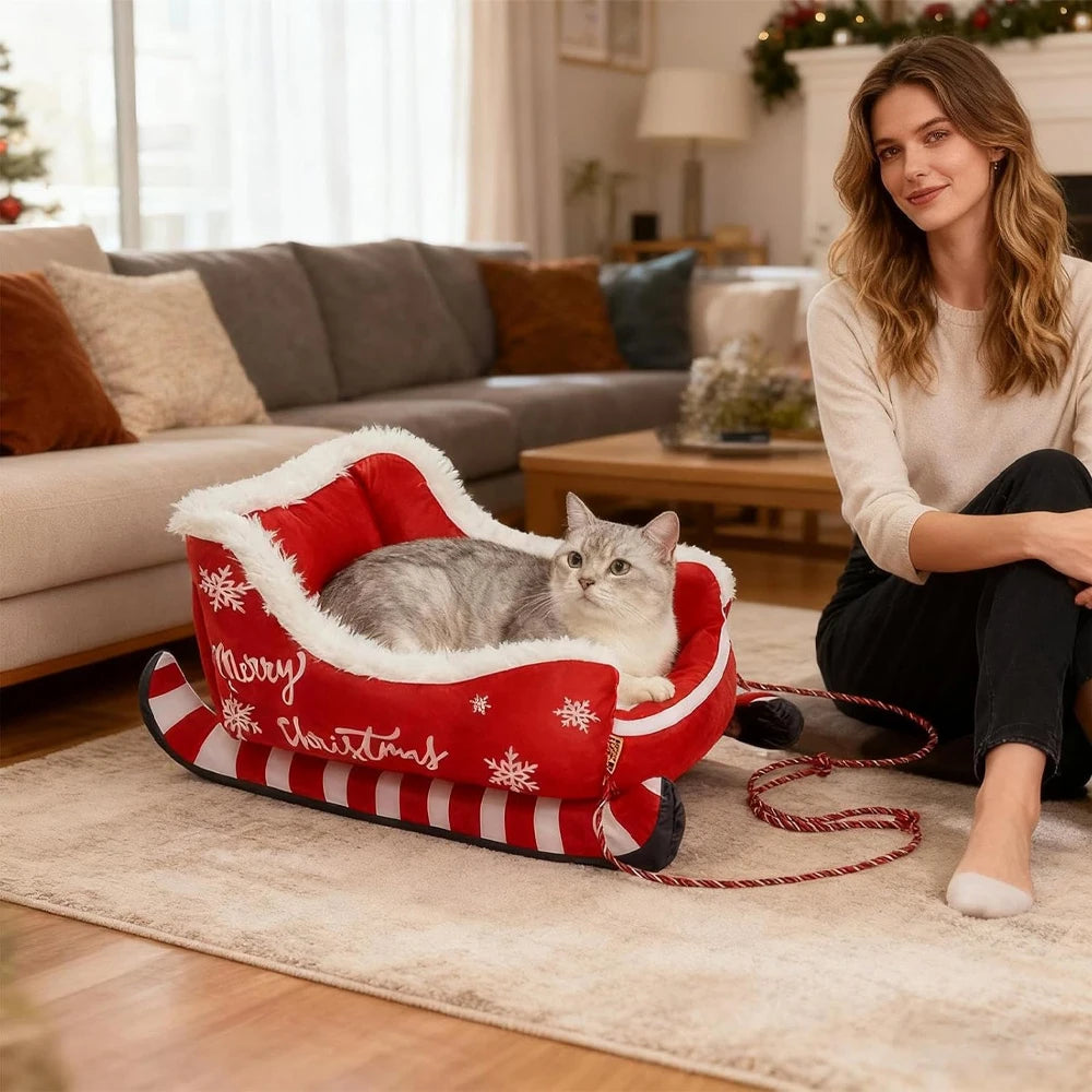Woman with a cat in a festive pet bed in a cozy living room.
