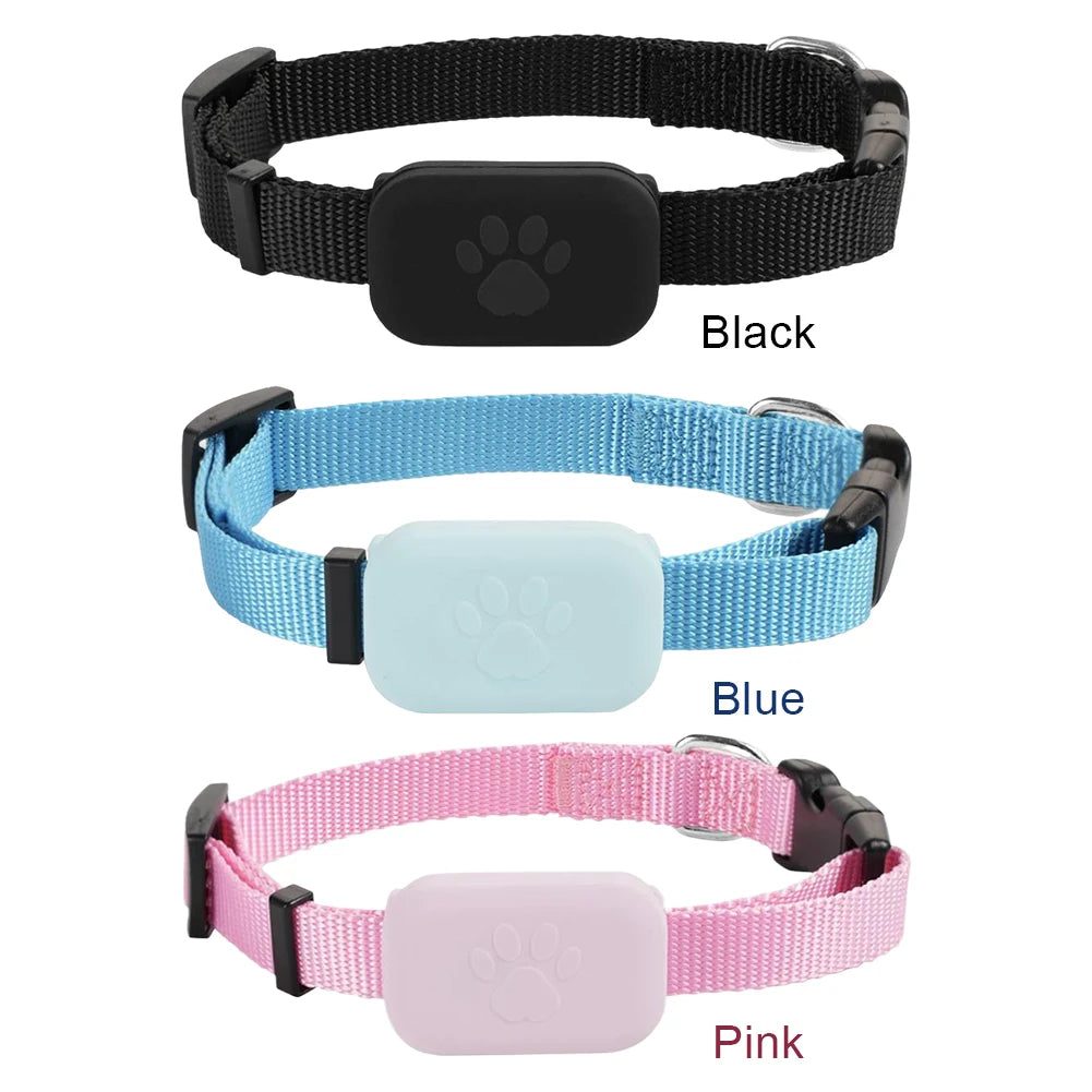 Three dog collars in black, blue, and pink with visible paw-shaped buttons on a white background.