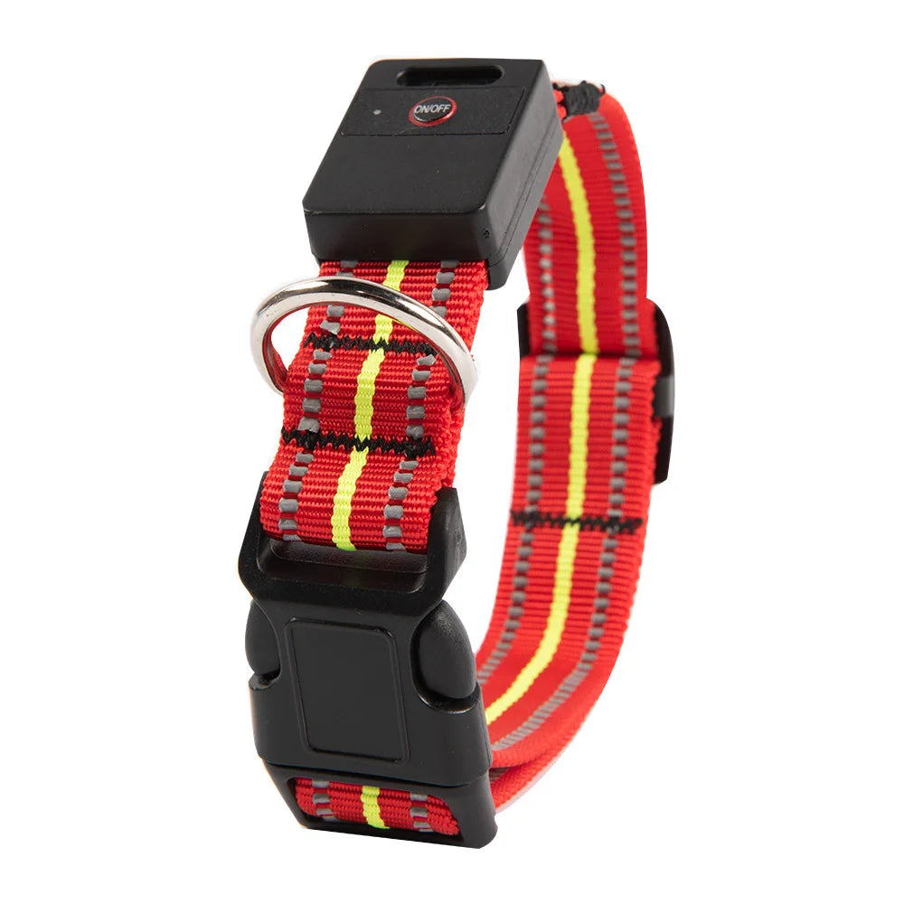 Waterproof LED Dog Collar – USB Rechargeable, Reflective & Glowing