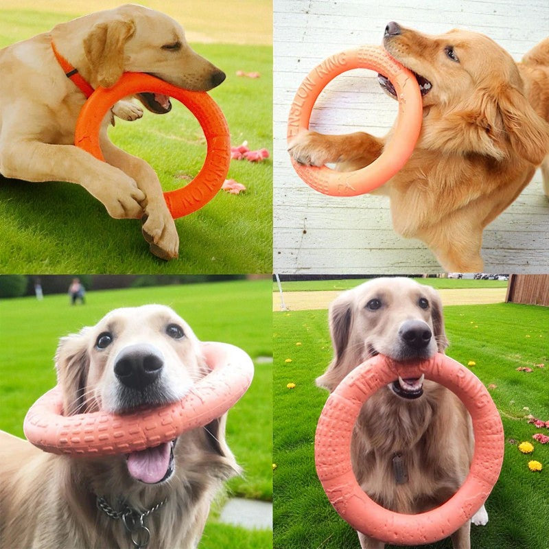 Indestructible Dog Ring Toy Paws and Claws