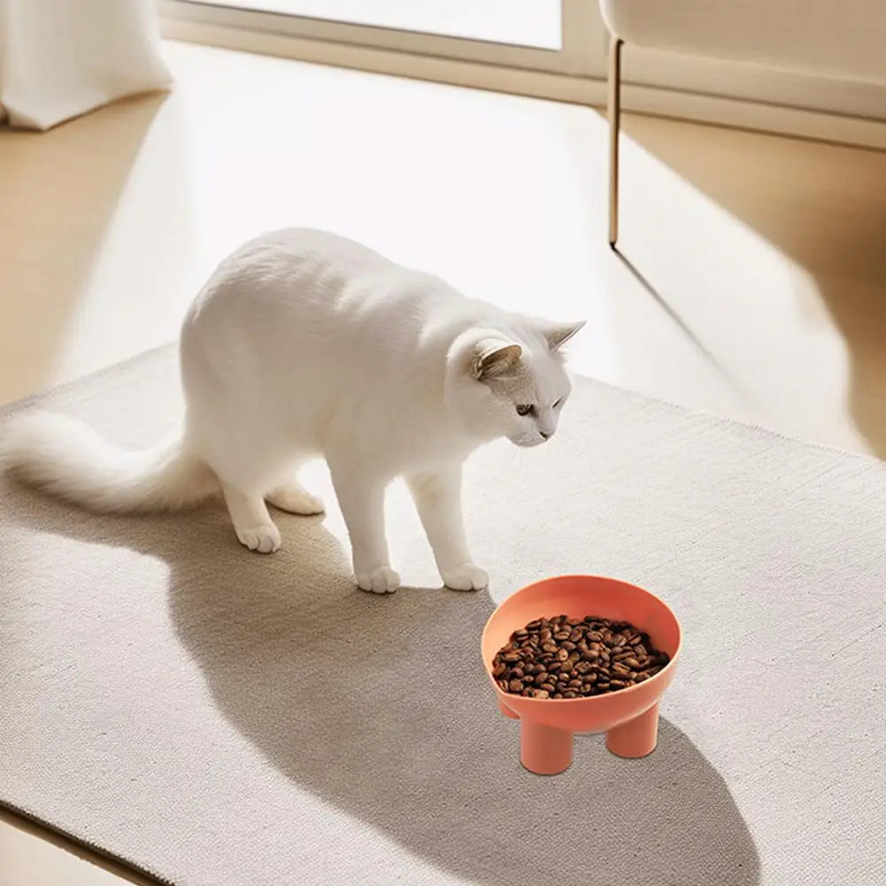 Inclined Pet Feeding Bowl Paws and Claws