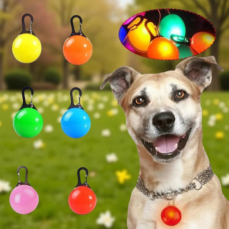 LED Pet Safety Collar Light Paws and Claws