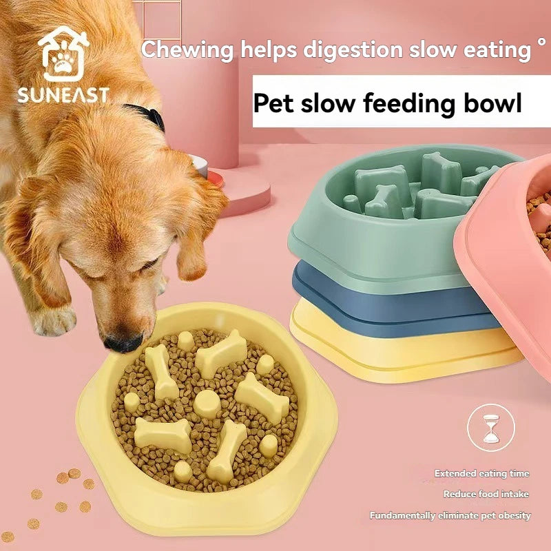 Sustainable Pet Bowl – For Dogs and Cats Paws and Claws