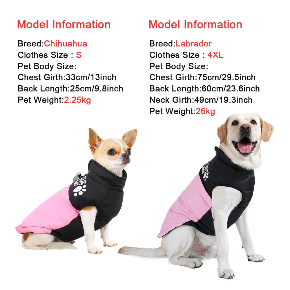 Warm Winter Dog Jacket – Windproof Coat for Small & Large Dogs