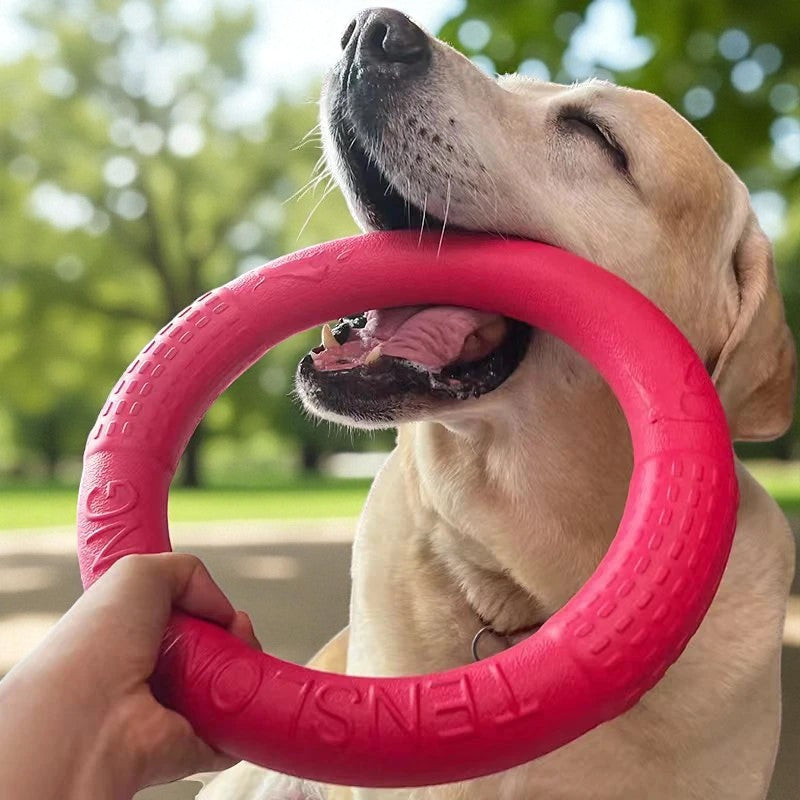 Indestructible Dog Ring Toy Paws and Claws