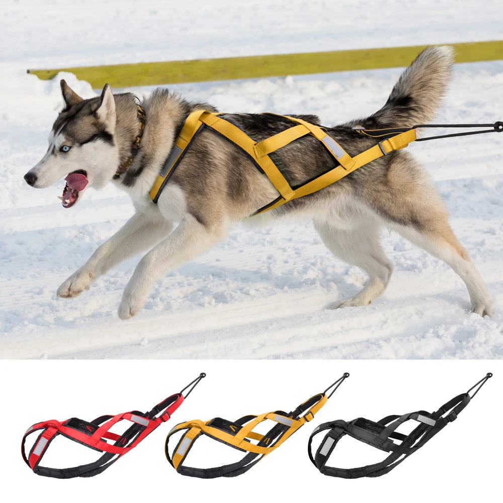 X-Back Dog Sled Harness – Weight Pulling & Mushing Harness