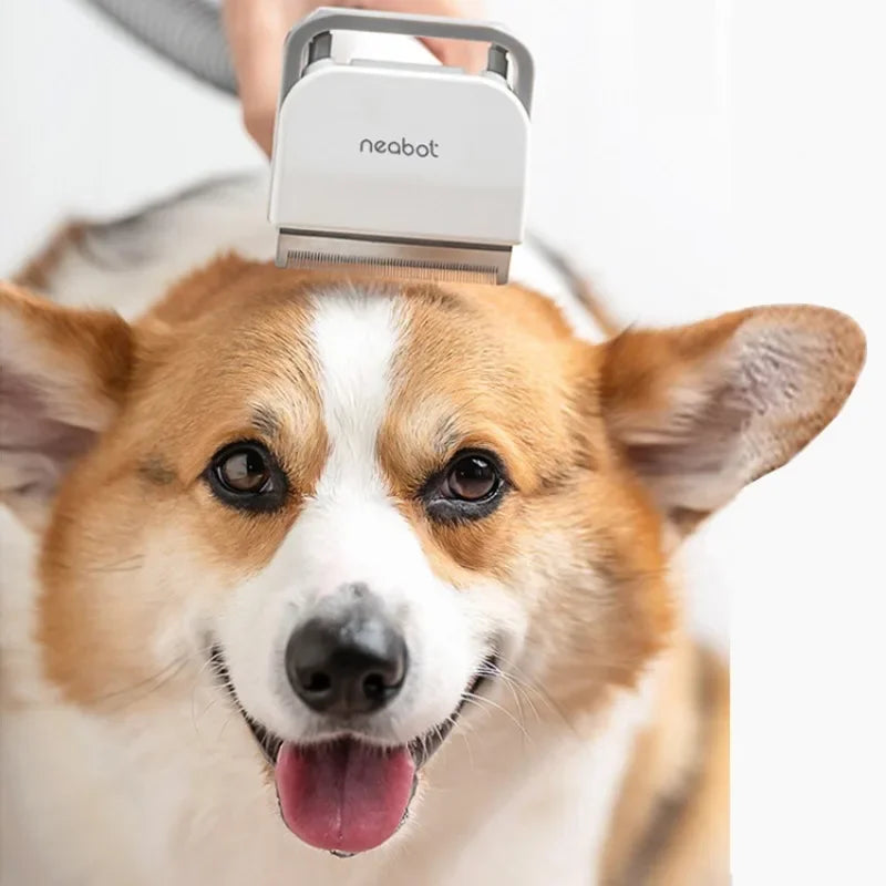 Pet Hair Trimmer – All-in-One Grooming Comb for Dogs & Cats Paws and Claws