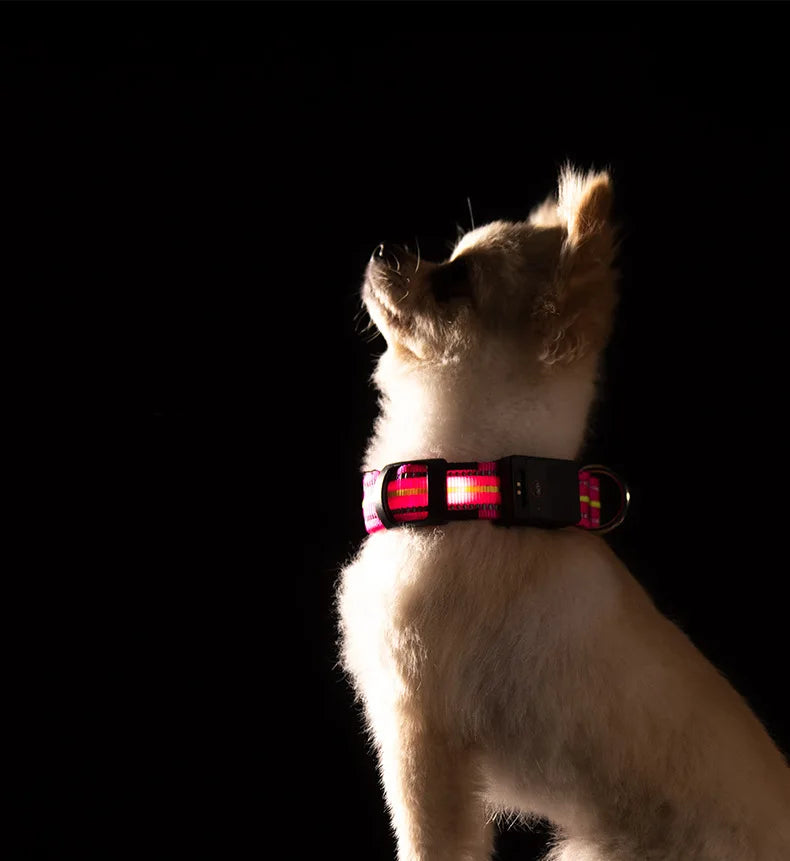 Waterproof LED Dog Collar – USB Rechargeable, Reflective & Glowing