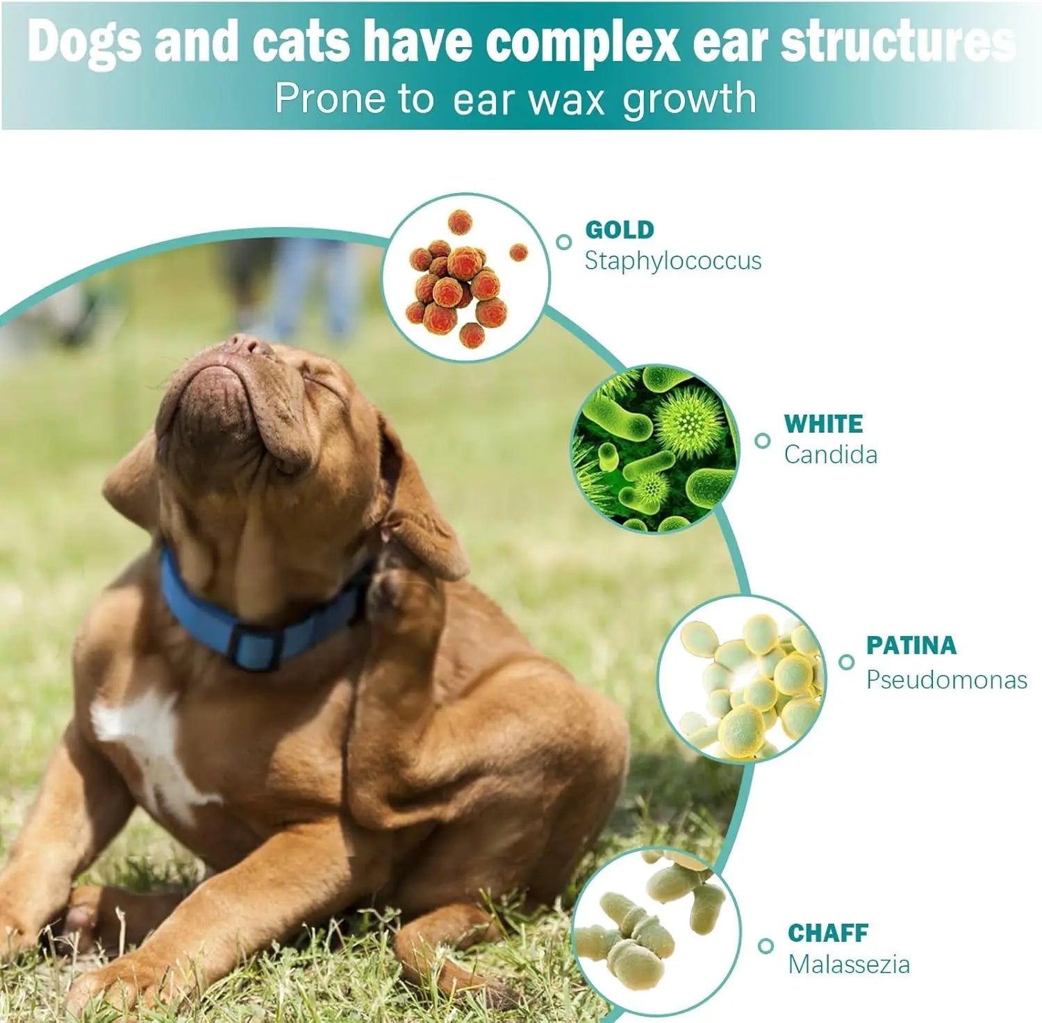 Pet Ear Cleaner Wipes – Soft & Easy Otic Care Paws and Claws