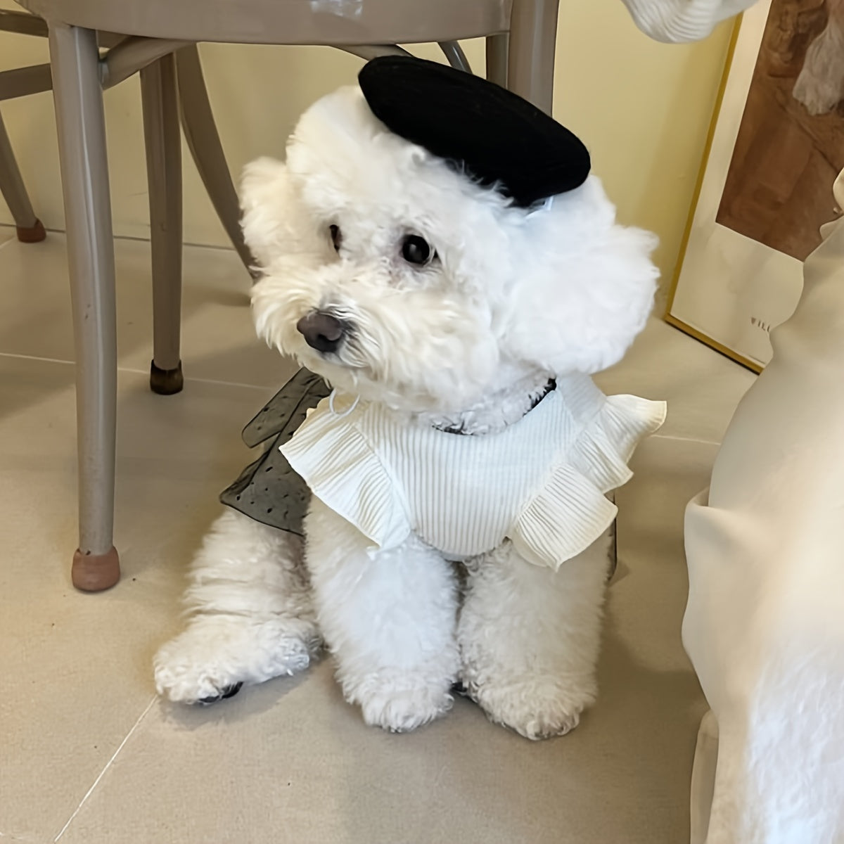 Diamond-Studded Metal Cuban Dog Collar, Safety Buckle, Martingale Design