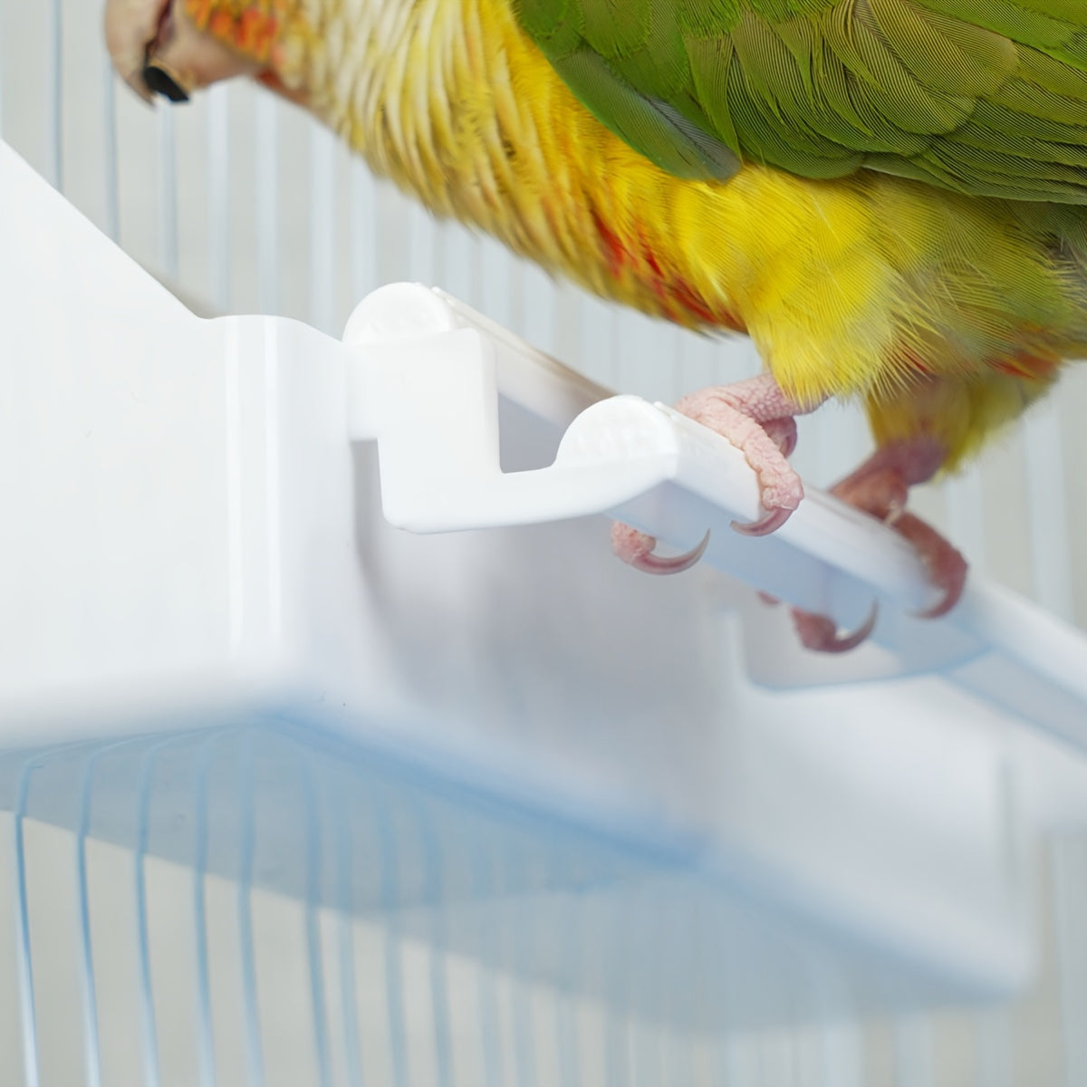 Durable ABS Parrot Feeder – Cage-Mounted Food & Water Cup