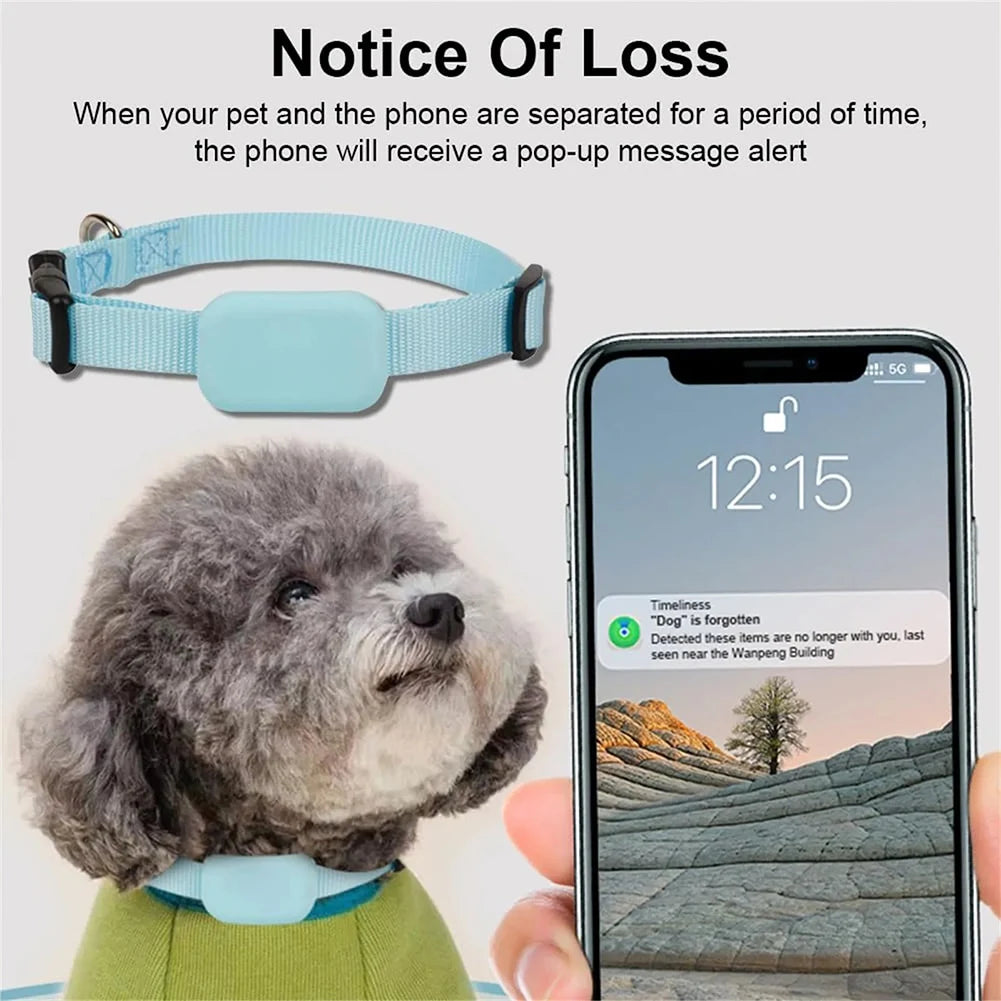 Pet collar with a phone app for tracking pet location, showing a dog and a smartphone with an alert message.