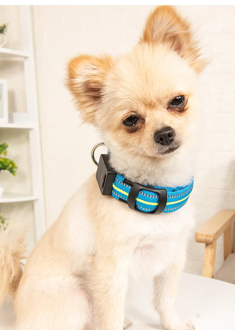 Waterproof LED Dog Collar – USB Rechargeable, Reflective & Glowing