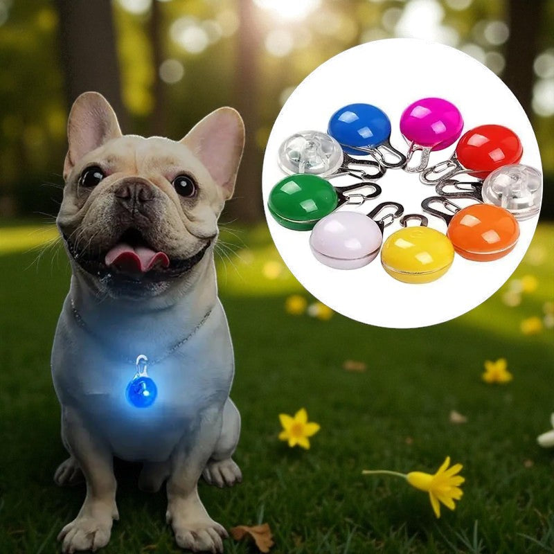 LED Pet Safety Collar Light Paws and Claws