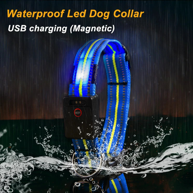 Waterproof LED Dog Collar – USB Rechargeable, Reflective & Glowing