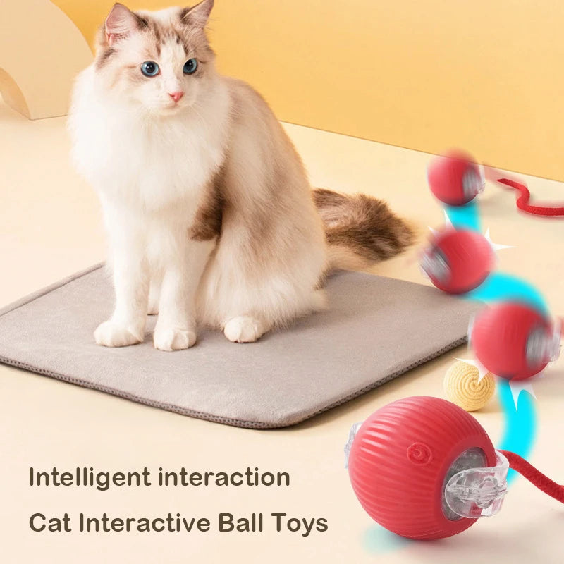 Automatic Rolling Cat Toy Ball Paws and Claws