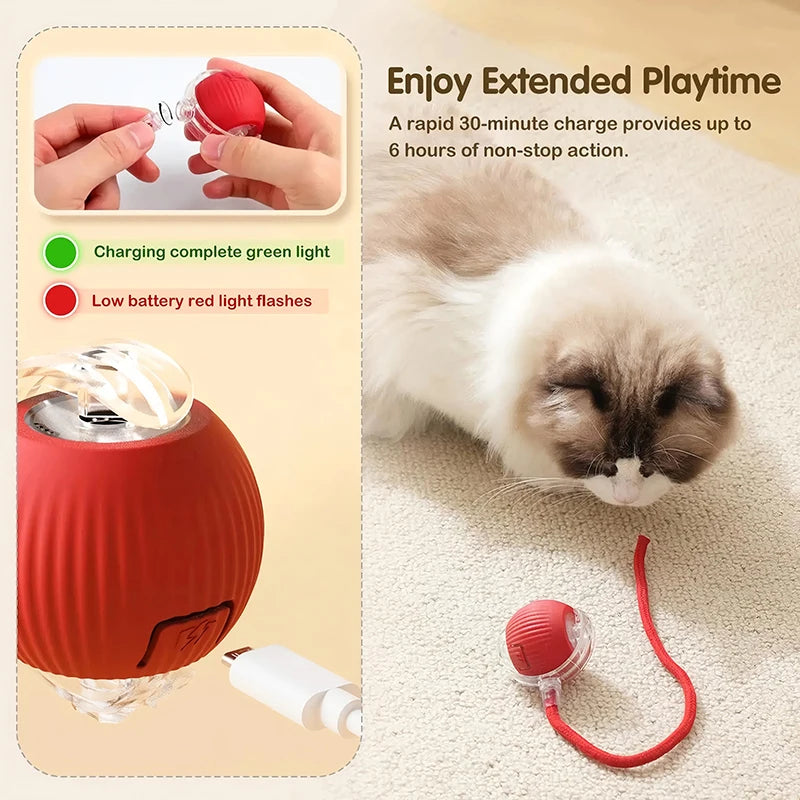 Automatic Rolling Cat Toy Ball Paws and Claws