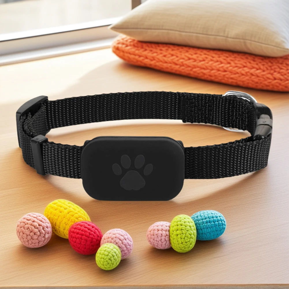 Black pet collar with a paw print design on a wooden surface with colorful crocheted balls.