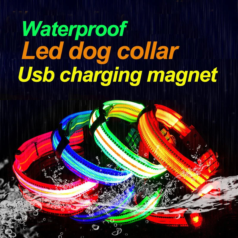 Waterproof LED Dog Collar – USB Rechargeable, Reflective & Glowing