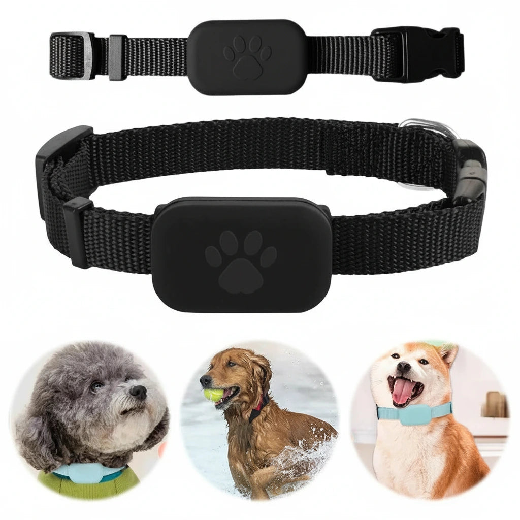 Two black dog collars with a paw print design on a white background, with images of dogs wearing the collars below.