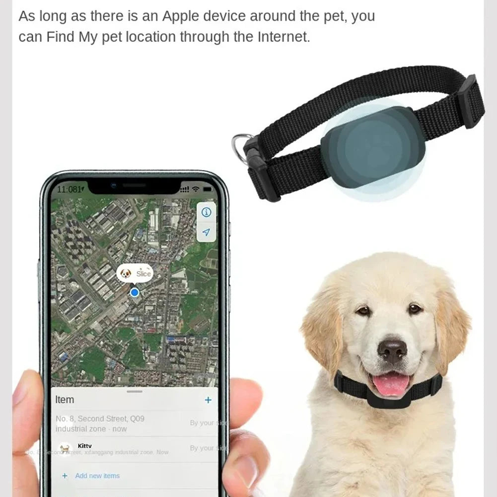 Pet tracking device with smartphone app and a dog wearing the device.