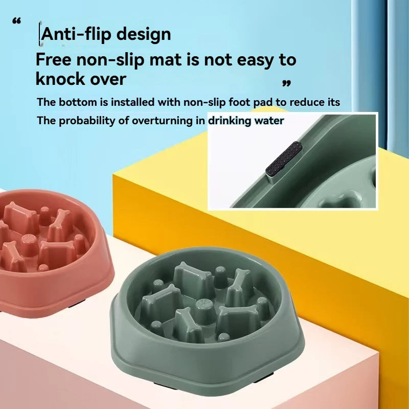 Sustainable Pet Bowl – For Dogs and Cats Paws and Claws