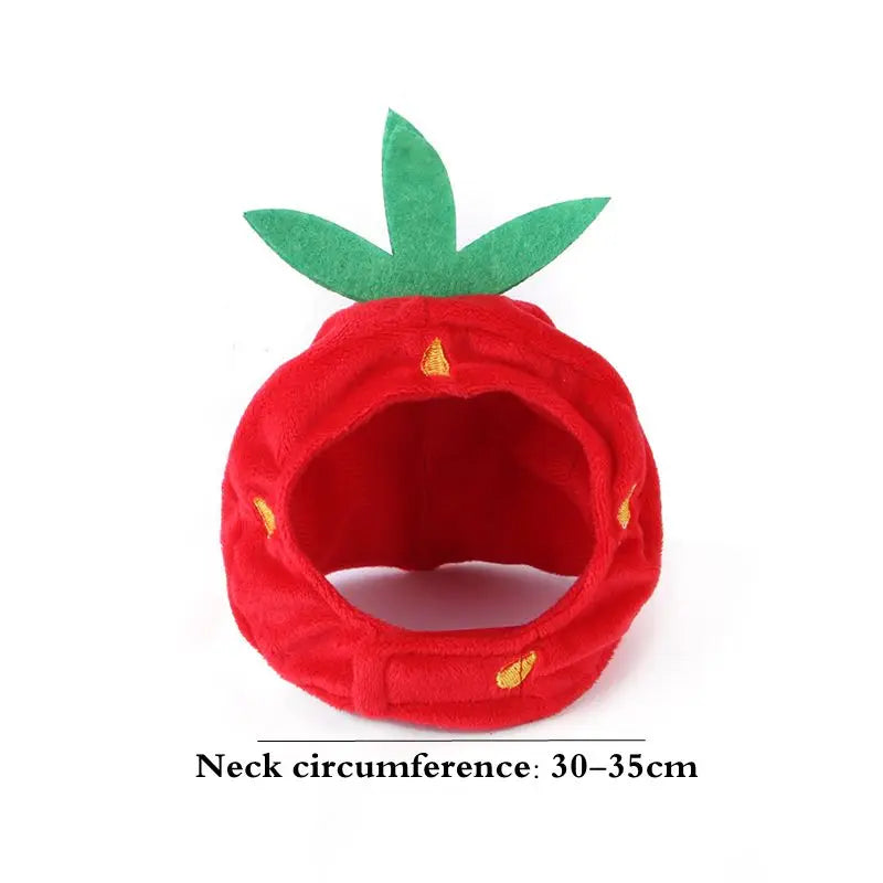 Cute Pet Rabbit Costume Hat Paws and Claws