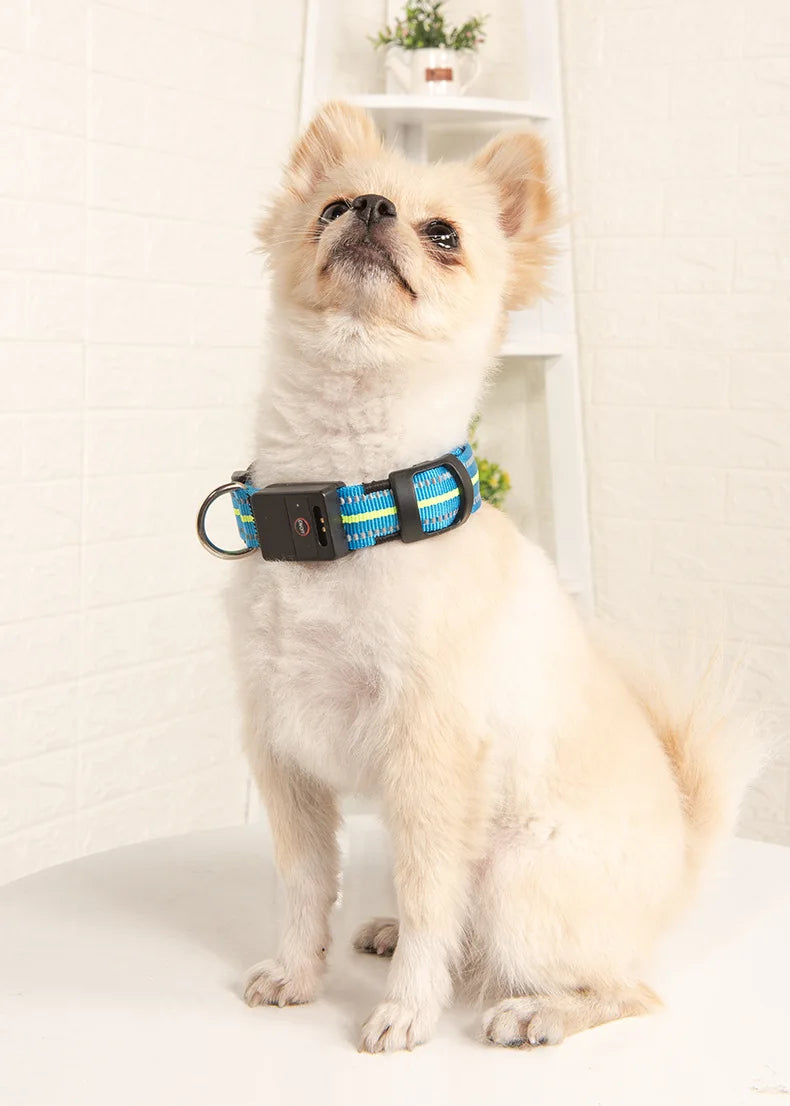 Waterproof LED Dog Collar – USB Rechargeable, Reflective & Glowing