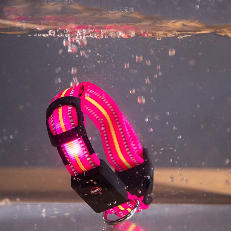 Waterproof LED Dog Collar – USB Rechargeable, Reflective & Glowing