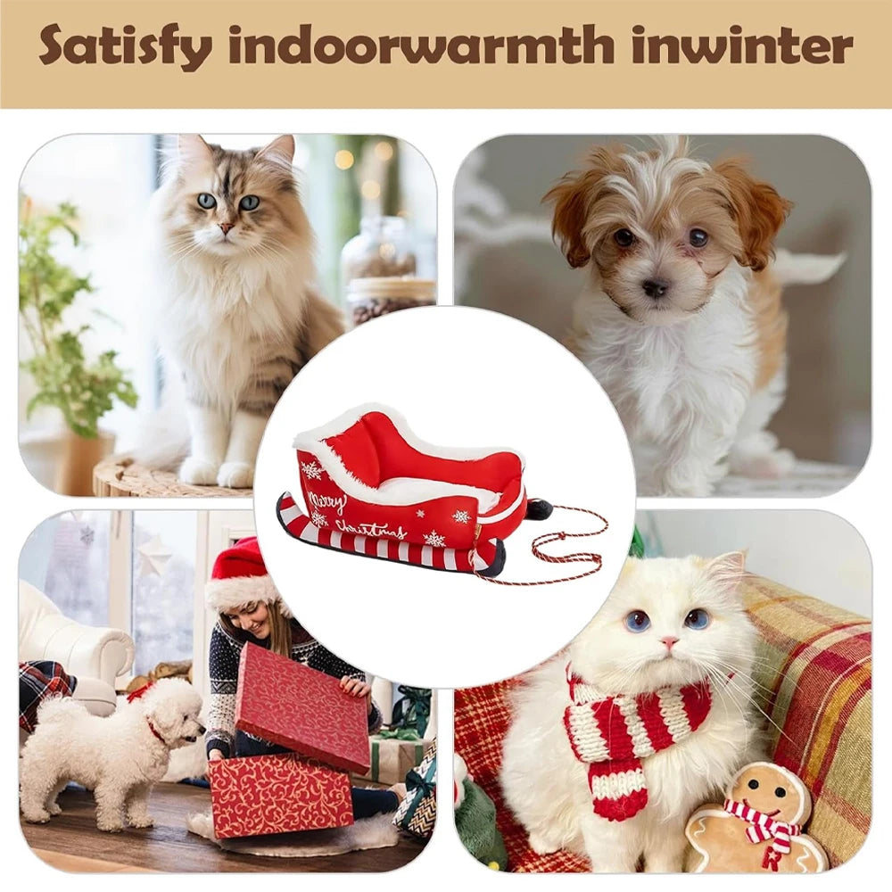 Collage of pets in winter clothing with text 'Satisfy indoor warmth in winter'.