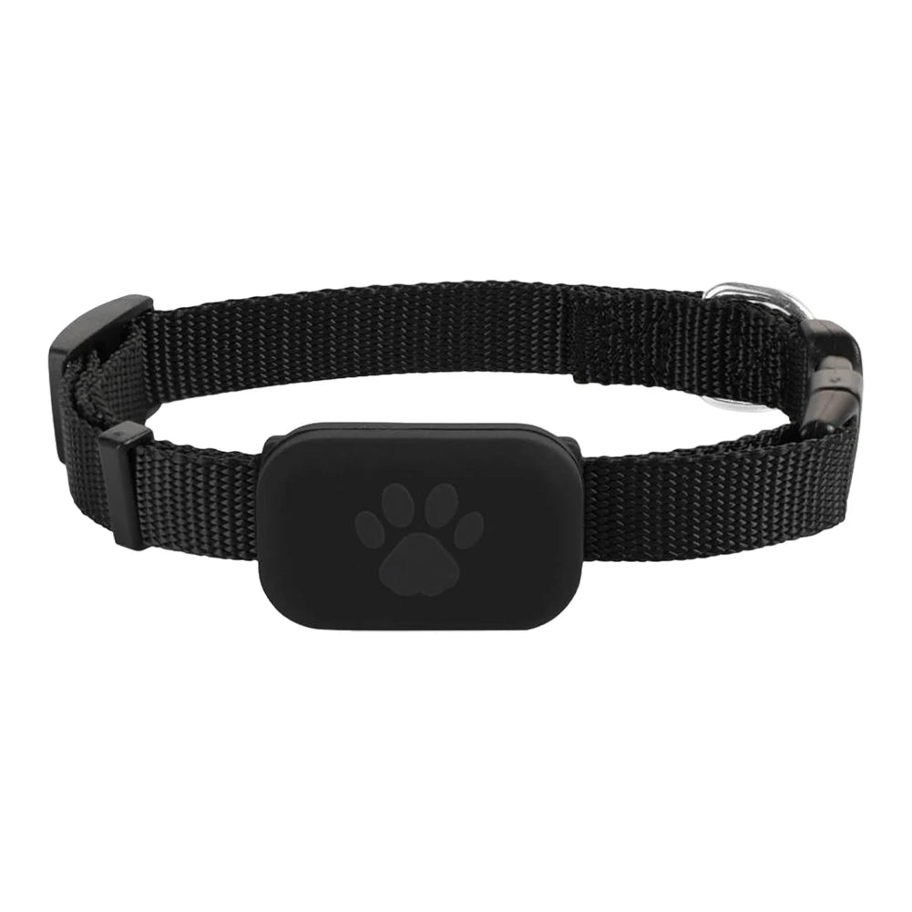 Black dog collar with a paw print on a white background