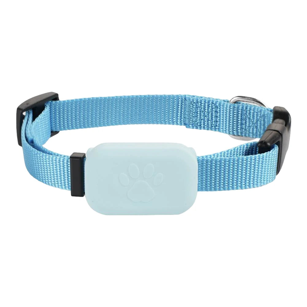 Blue dog collar with a light blue rectangular tag on a white background