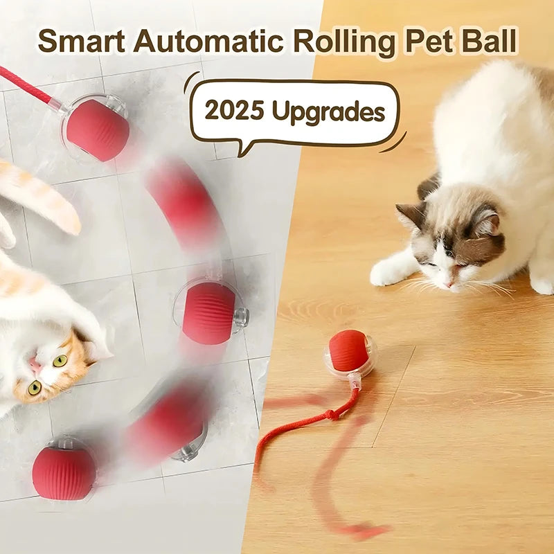 Automatic Rolling Cat Toy Ball Paws and Claws