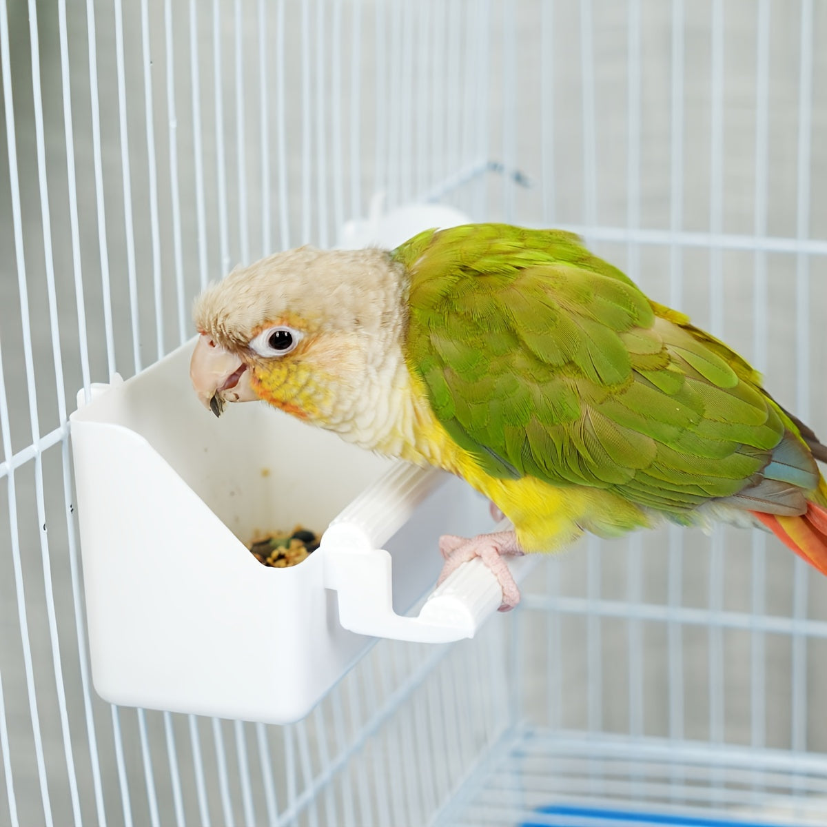 Durable ABS Parrot Feeder – Cage-Mounted Food & Water Cup